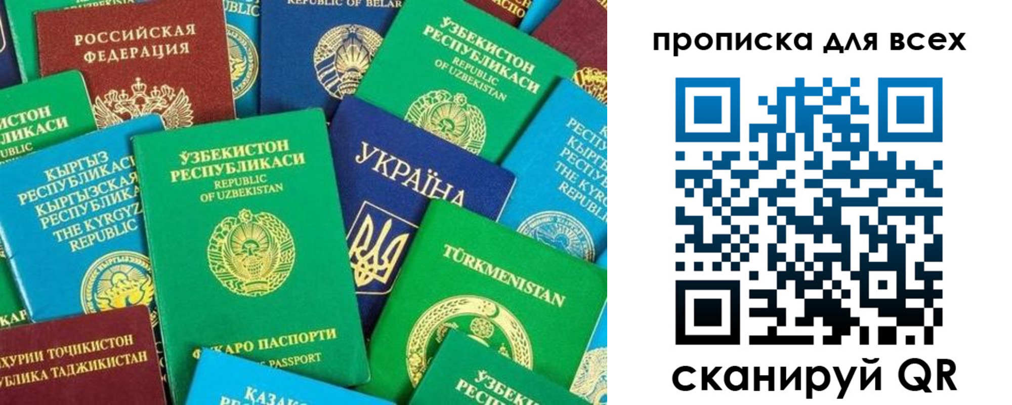 прописка в квартире в Фрязино